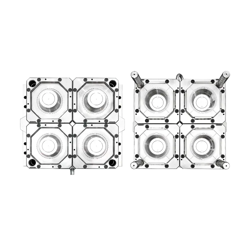 IML cheese box mould