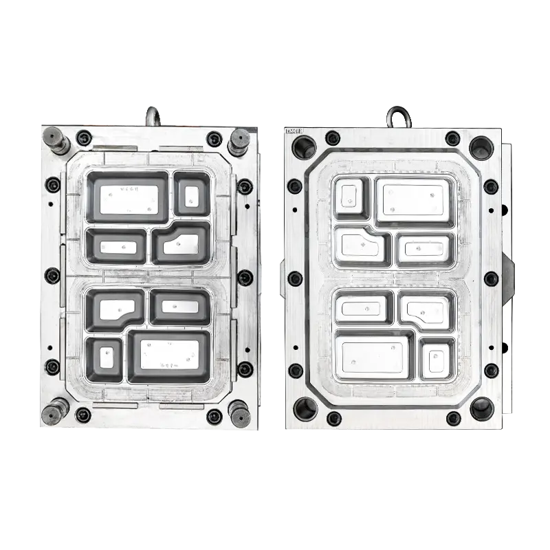 2CAV 4-compartment lunch box mould