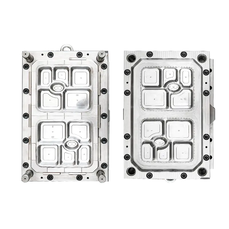 2CAV 6-compartment lunch box mould